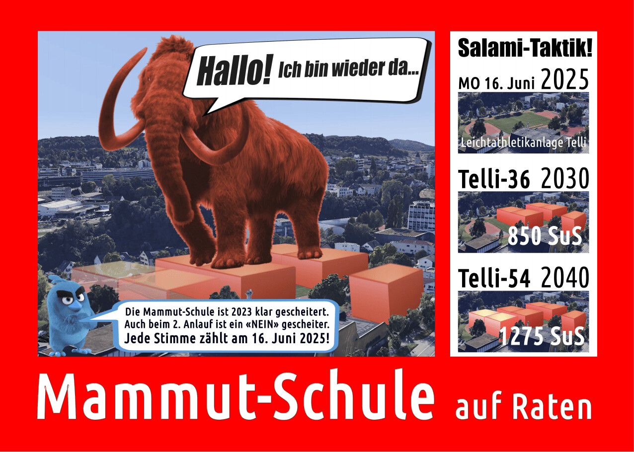 Mammut-Schule auf Raten